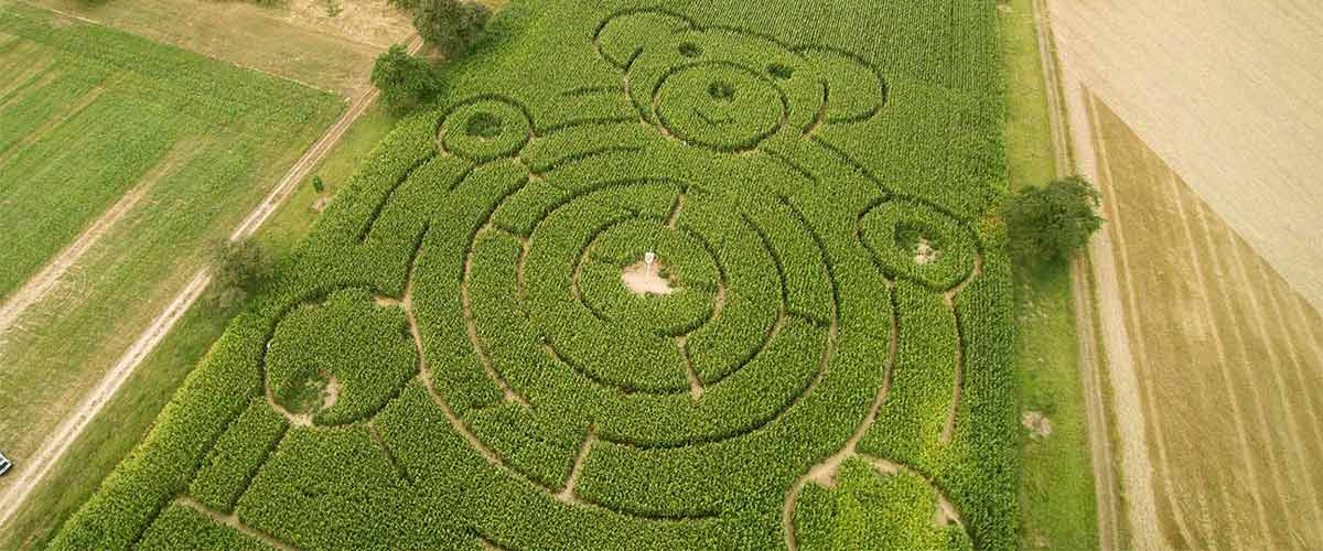 Luftbilder In höchster Qualität mit neuster Technik