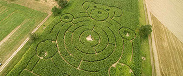 Luftbilder In höchster Qualität mit neuster Technik